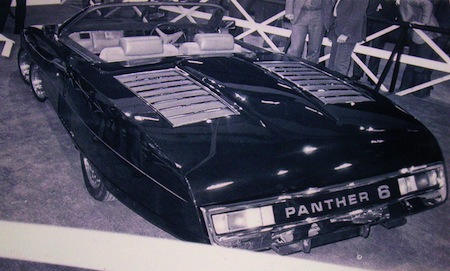 Panther 6 (z)